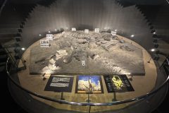 ♪🚌社員旅行🚌♪