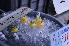 夏の思い出🌻