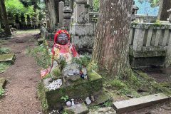 今年も